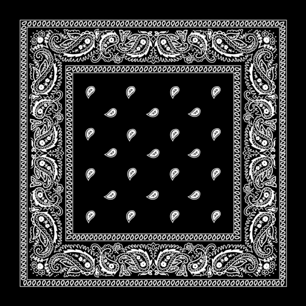 Value Classic Paisley Bandana 22x22